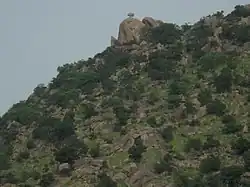 Mont Mandara (Nigéria)