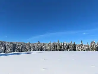 Paysage du mont Noir à Châtelblanc.