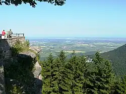 Vue sur la plaine depuis le mont Sainte-Odile. En bas au milieu des sapins l'hôtel Saint-Jacques et à droite l'abbaye en ruines de Niedermunster cachée par les arbres.