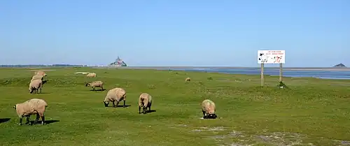 Baie du Mont-Saint-Michel