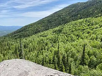 Vue de la façade orientale.