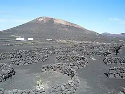 La Montaña Diama domine le centre de la Geria