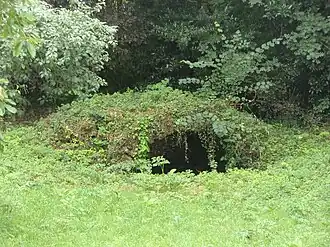 Photographie en couleurs d'une arche en pierre isolée dans la végétation d'un parc.