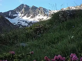 Vue depuis le val Troncea.