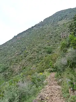 Sentier de randonnée.