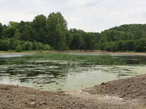 L'étang de Montgobert.