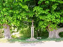 Le calvaire de la fontaine Sainte-Geneviève, encadré par de majestueux marronniers.