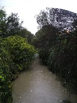 Le Verdanson vu en aval de la rue Croix-Catelan.