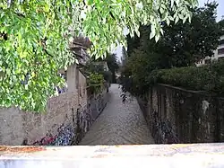 Un jour pluvieux, vue depuis la passerelle de la rue Dubreuil et coulant en direction de la station de tramway Place Albert 1er-Saint Charles (au fond, cachée par la végétation).