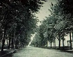 Description de l'image Montréal, vers 1905-1910. Ave. De Lorimier. (6429268719).jpg.