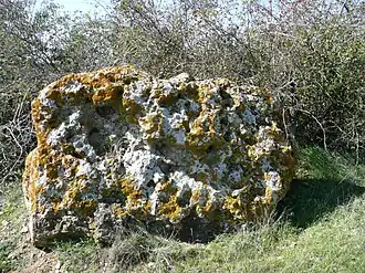 Menhir de l'Accommodement