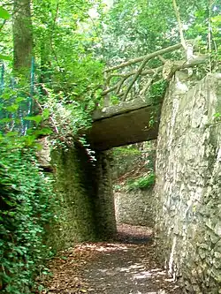 Passerelle en lisière de forêt.