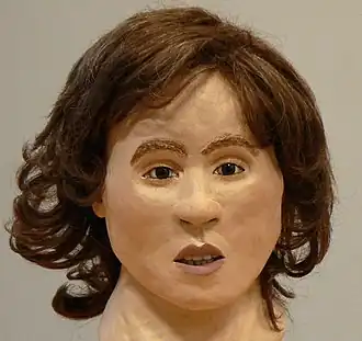 La reconstruction du visage avec des cheveux bruns