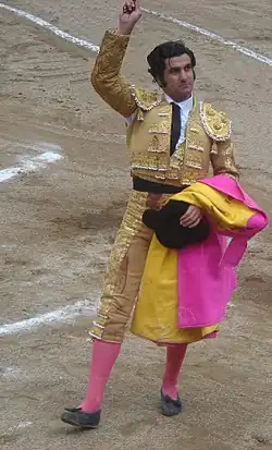 Image illustrative de l’article Morante de la Puebla