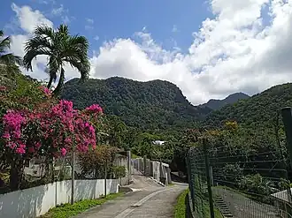 Vue du morne Cadet depuis le Houëlmont.