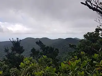 Morne Marguerite Larue, morne Scipion, morne Bois d'Inde, morne Mazeau et le Dos d'Âne.