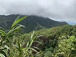 Les hauteurs du parc.