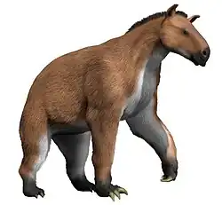 Restitution de Moropus elatus (Chalicotheriidae).