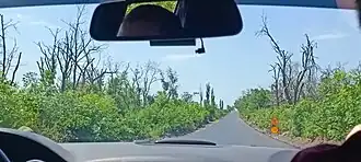 Image illustrative de l’article Route P66 (Ukraine)