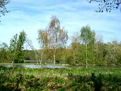 Les étangs Colbert et de Vallière, inaccessibles au public.