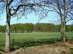 La prairie de Charlepont.