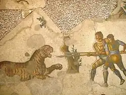 Mosaïque du Ve&nbsp;siècle représentant un tigre en prise avec deux piquiers.