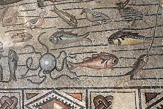 Histoire de Jonas : faune marine.