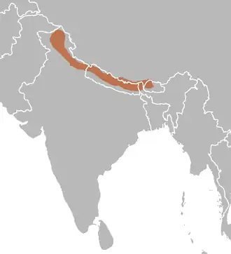 Description de l'image Moschus leucogaster.png.