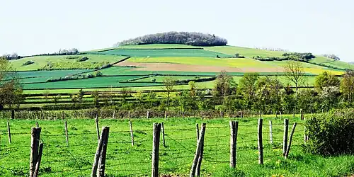 Le Mont Rond (476 m). Pâturages, forêts et bois font le paysage de la commune.