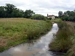Motte castrale de Labrit.