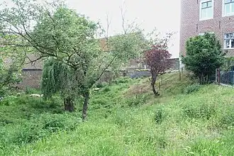 Motte et douves du Maison-forte