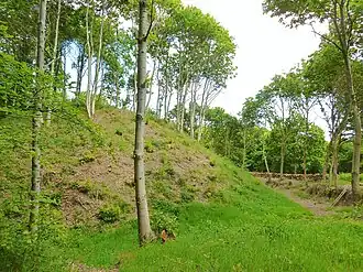 Mottes féodales dites Les Bourgs Heusas XIe&nbsp;siècle.