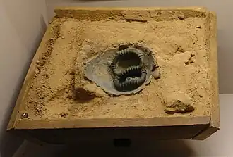 Moulage du petit dépôt au moment de sa découverte