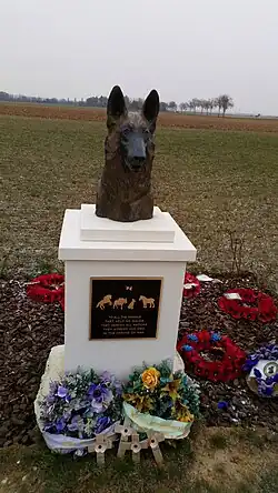 Espace mémoriel dédié aux animaux de guerre de la Première Guerre mondiale, à Pozières dans la Somme.