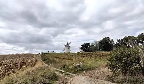 Vue générale du moulin sur la colline (tuc)