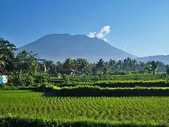 L'Agung vu depuis le sud dominant des rizières.