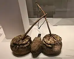 Soufflet à tambours Mpongwe