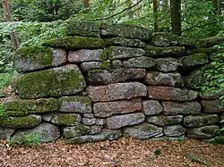 Une portion de l'énigmatique mur païen, qui entoure le mont Sainte-Odile.
