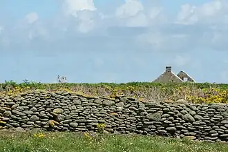 Mur et ruine de ferme sur l'île de Trielen