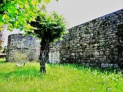 Mur de l'enceinte médiévale Ouest de la ville.