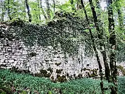 Restes de la muraille ouest.