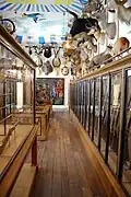 Salle des trophées avec les têtes en cape et les fusils de chasse dans les vitrines.