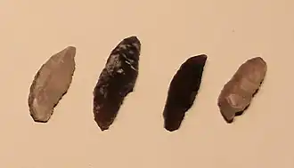 Microlithes du Mushabien.