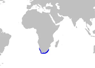 Description de l'image Mustelus palumbes distmap.png.