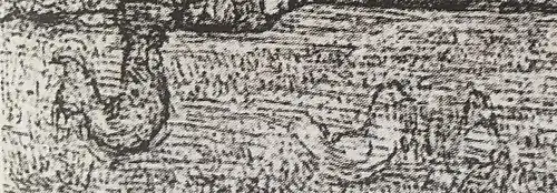 Coq et poules de la première variante.