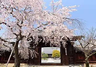 Grande porte (daimon) du Myōkaku-ji.