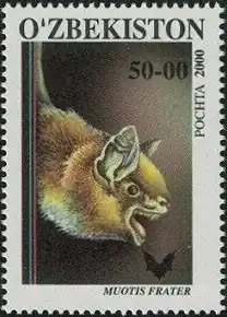 Description de l'image Myotis frater 2001 stamp of Uzbekistan.jpg.