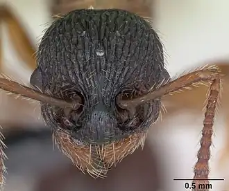 Description de cette image, également commentée ci-après