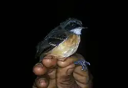 Description de cette image, également commentée ci-après