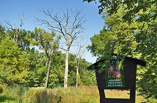 Réserve naturelle de Žebračka.